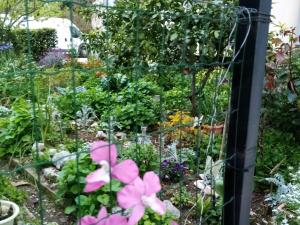 Apartments Vanja kara Biograd - Studio Apartment with Terrace