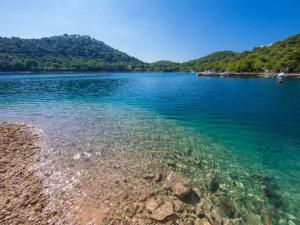 Apartments Bruna Lastovo-Comfort One Bedroom Apartment with Balcony and Sea View-Plavi