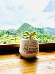 Pasu lôlô homestay