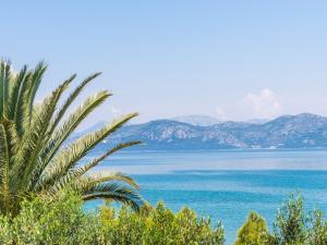 Apartments Glavor - Standard Studio Apartment with Terrace and Sea View SA2