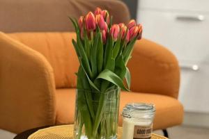 Apartments Noa Old Town - Studio - First Floor