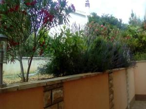 Apartments Vala - Studio Apartment A3