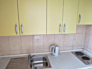 Apartments Pezo - Studio Apartment with Sea View 