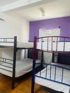 MayFlower Hotel & Hostal