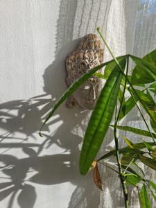 GH Rosebank apartment