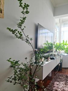 GH Rosebank apartment