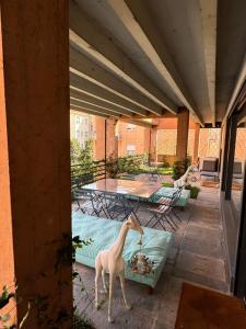 Appartement 2 Chambres Deluxe avec Balcon