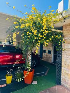 Town and Country Motor Inn