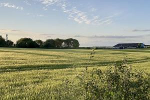 The Windmill Blackthorn Hill