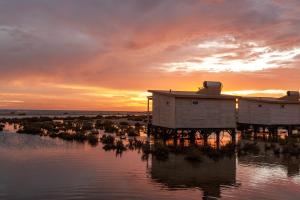 Océan Vagabond Lassarga