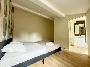 Appartements Spacieux Appartement 8 Couchages en Centre de Riom N9 : photos des chambres