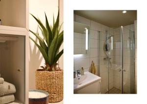 Lekker 2-roms leilighet