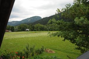 Three-Bedroom Apartment with Balcony room in Apartments Zorč