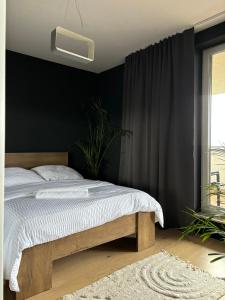 Business and Friendly Apartments Rzeszów self check in