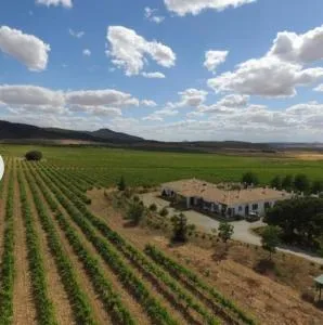 芬卡埃尔罗梅拉尔乡村民宿 - 阿尔卡拉德尔胡卡尔