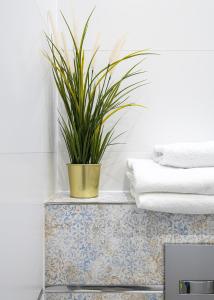 RentPlanet - Bliska Wola