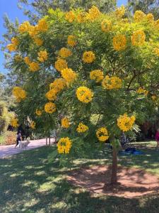 Nid Douillet à Hyères