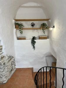 Nid Douillet à Hyères