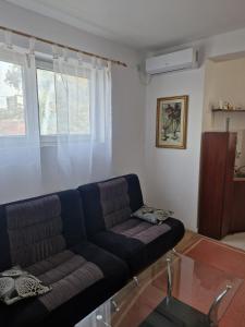 Apartmani Janićijević 1