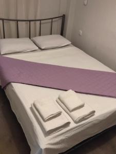 The house in nature SKG