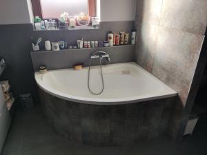 Elegant House in a Small Village