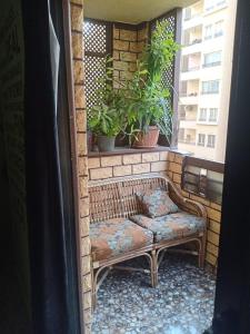 family& friends maadi apartment