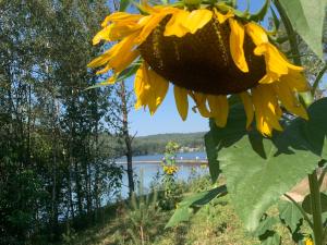 Zolder appartement Le Grenier