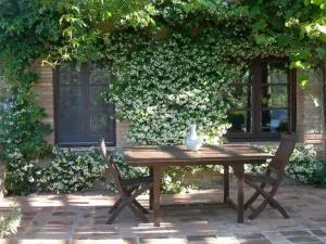 Olivo at Pietraie a cottage with many flowers in the Valley - Montecastelli Pisano