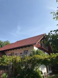 Casa Matei - Sohodol