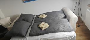 Charmante 2 Zimmer-Wohnung mit Fahrradstellplätzen