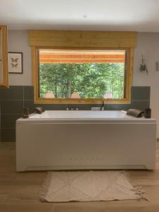 Appartements Jacuzzi en foret : photos des chambres
