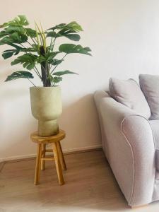 Grand T3 très lumineux, à 2min à pied de la gare