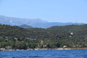 Villas Superbe Villa, incroyable vue mer, avec piscine privative a Solenzara : photos des chambres