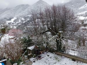 Maisons de vacances ''Mon Chez Moi'' : photos des chambres