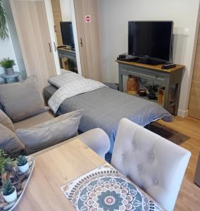 Appartements Le Cocon Cosy proche gare : photos des chambres