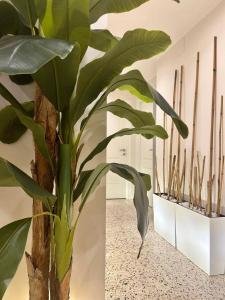 Favola Guesthouse Affittacamere