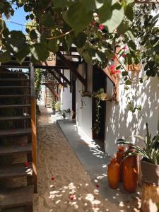 Sunset Beach Tatajuba