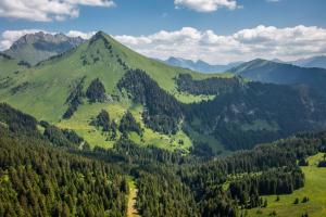 Appartements Les Pralyssimes 462 : photos des chambres