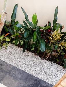 BrightUp Villa Beach Side Sanur