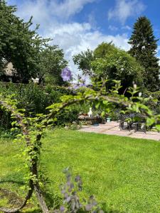 B&B / Chambres d'hotes Chez Jallot : photos des chambres