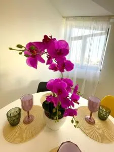 Residence 7 De Lux ! - Cartierul D. Apostol