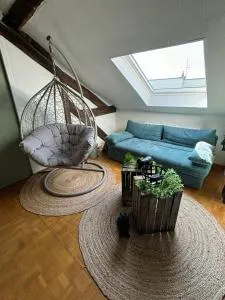 Jungle Cosy - 科内勒