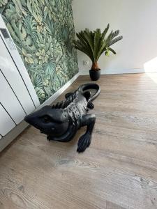 Appartements Jungle Cosy : photos des chambres