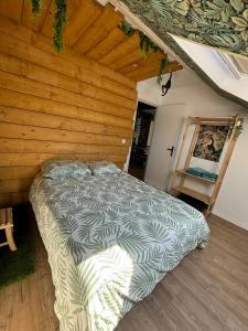 Appartements Jungle Cosy : photos des chambres