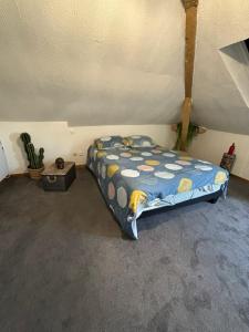 Appartements Jungle Cosy : photos des chambres