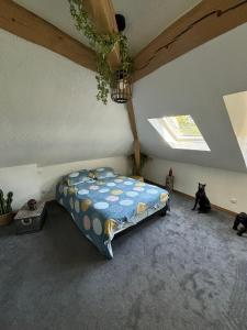 Appartements Jungle Cosy : photos des chambres