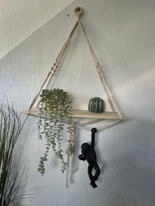 Appartements Jungle Cosy : photos des chambres