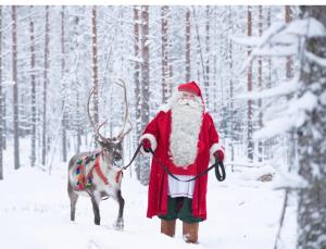 Rovavisit Grand Villa