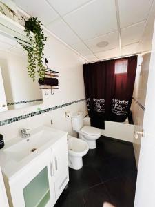 Attic terrace 360 Moncofa