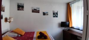 Joli Appartement Le Chamois Blanc Chamonix, parking